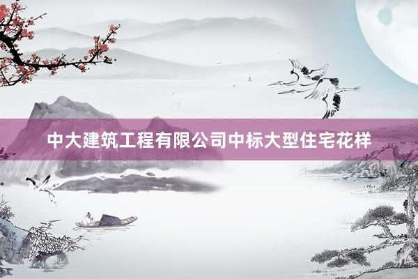 中大建筑工程有限公司中标大型住宅花样